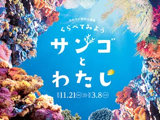 えのすい特別企画展 くらべてみよう サンゴとわたし