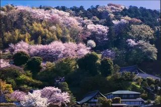 原田寛講演会「鎌倉の四季を写す」
