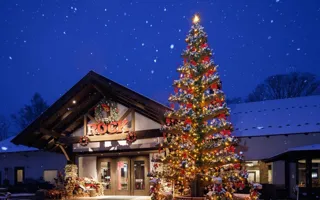 萌木の村クリスマスマンス2025-Heartfelt Christmas-