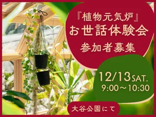 『植物元気炉』お世話体験会（12月）