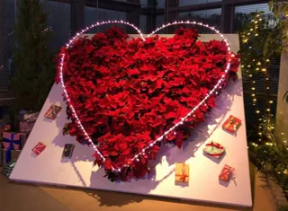 国営越後丘陵公園　ポインセチアプレゼント