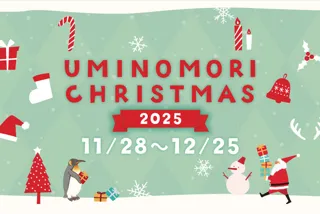 UMINOMORI CHRISTMAS