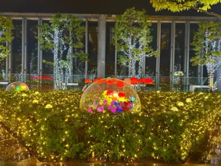 あべのハルカス 天空のイルミネーション2025