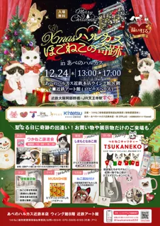 Xmasハルカス～ほごねこの奇跡～ inあべのハルカス