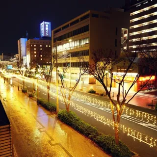 堺イルミネーション2025