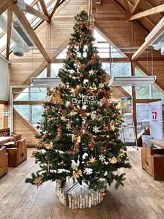 なるかわビッグツリー