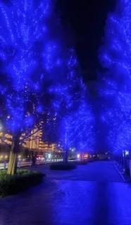 ライティング・コラボレーションかなまち かなまちイルミネーション