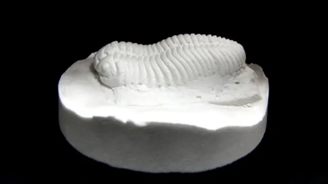 わくわく科学工作「化石のレプリカ～三葉虫2～」