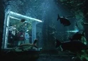 クリスマスナイトビュー