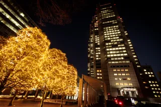 新宿パークタワー　ウィンターイルミネーション2025