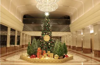 京王プラザホテルに灯る“赤とゴールドの森”