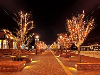 おながわ冬のまつり2025