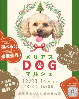 わんことクリスマス　メリアスdogマルシェin埼玉県営まつぶし緑の丘公園