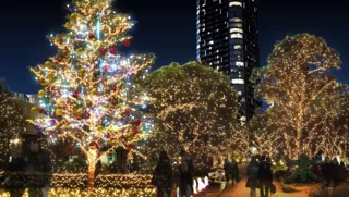 「MIDTOWN CHRISTMAS 2025」EMOTION PALETTE TREE