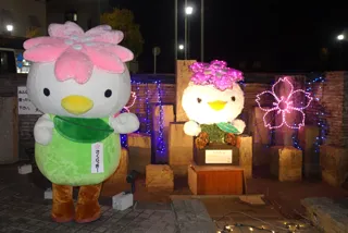 おばんなりスター★大河原☆