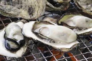 かき小屋 in ベイサイド2025-2026