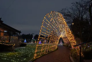 ウインターイルミネーション2025-2026