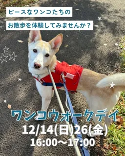 ワンコウォークデイ（世田谷譲渡センター）