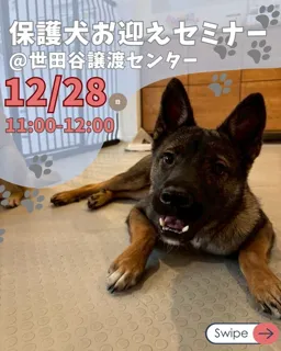 保護犬お迎えセミナー（世田谷譲渡センター）