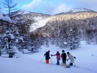 浅間軽井沢 スノーシューハイキング たっぷり1day「雪原バックカントリー」