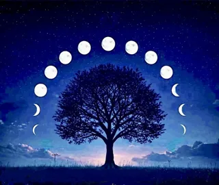 座学 日本の季節とヨーガ哲学