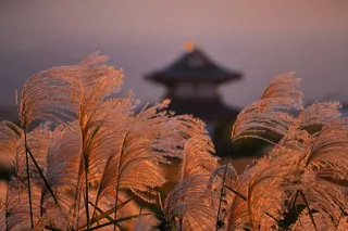 企画展　Instagramフォトコン受賞作品展