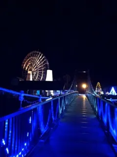 道の駅おばあちゃん市・山岡イルミネーション2025