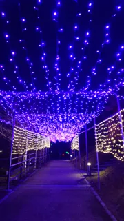 恵那峡ウインターイルミネーション