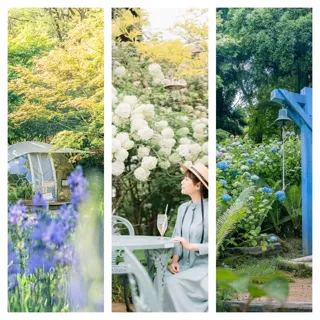 神戸六甲ミーツ・アート2026 beyond」 展示予定作品情報草間彌生《南瓜