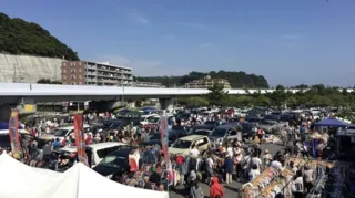 音楽で地方創生と未来への種蒔き!!YOKOSUKA REGGAE BASH 2026の新