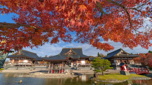 【紅葉・見ごろ】倶利迦羅不動寺 西之坊鳳凰殿