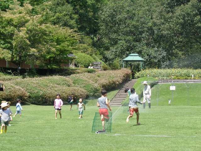 広島市植物公園 サマーフェア