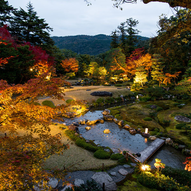 秋の紅葉特別夜間公開　トワイライト庭園パーティー2024