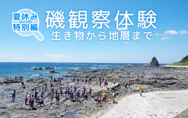 磯観察体験イベント夏休み特別編