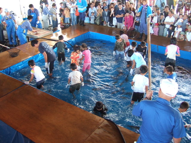 第25回松浦おさかなまつり