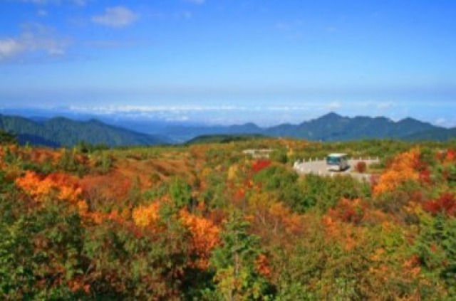 【紅葉・見ごろ】弥陀ヶ原