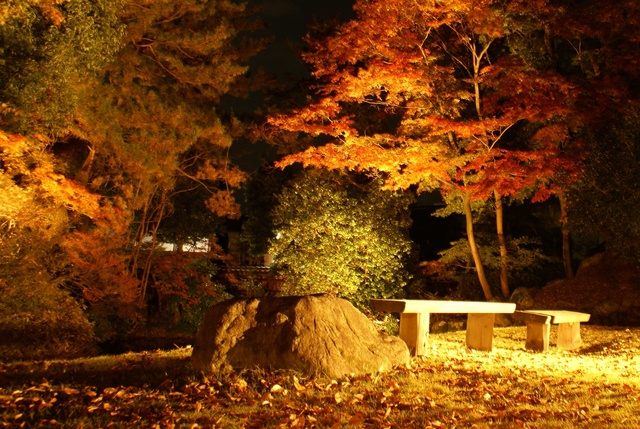 国重要文化財安藤家住宅「紅葉ライトアップ特別公開」