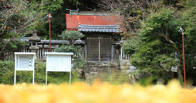 長野八幡神社例祭（住吉踊）