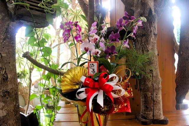 ビオスの洋らんアレンジメント「クリスマス・お正月寄せ植え教室」