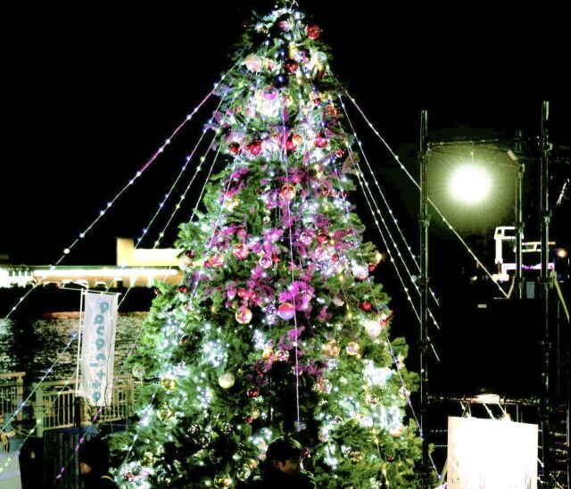 万代ふ頭クリスマスツリーライトアップ