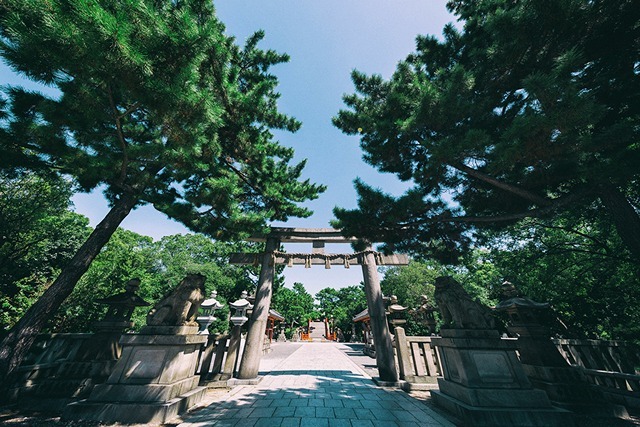 Sumiyoshi Taisha Shichi-Go-San Celebration