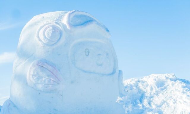 第24回 郡上たかす雪まつり