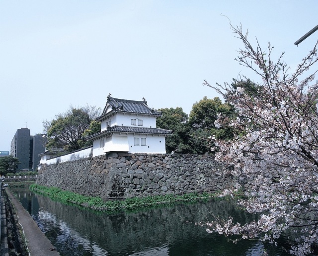 【桜・見ごろ】大分城址公園