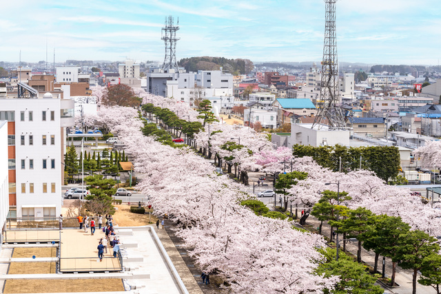 Towada City Spring Festival