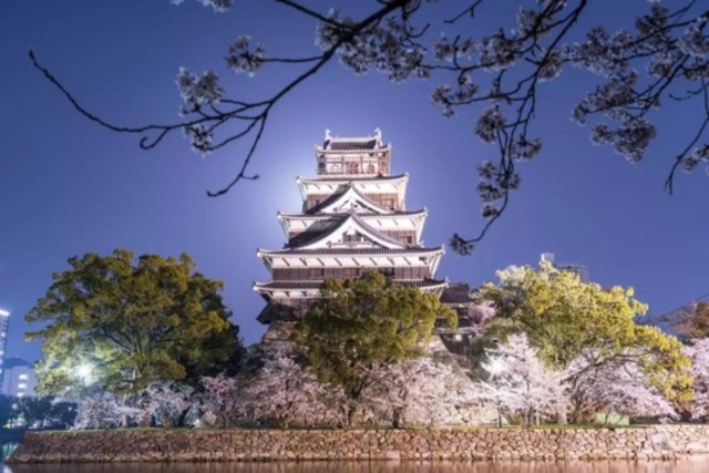 広島城桜まつり2025