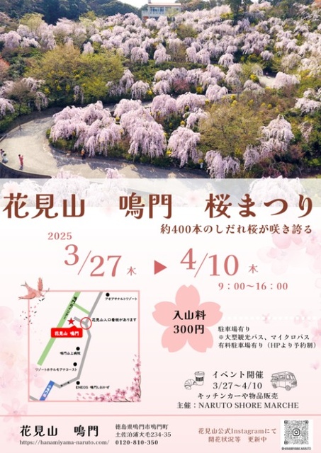 花見山 鳴門 桜まつり