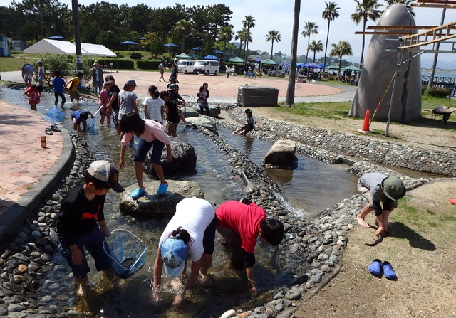 Eel Catching & Kabayaki Experience, Fish Catching Experience, Boiled Whitebait Experience