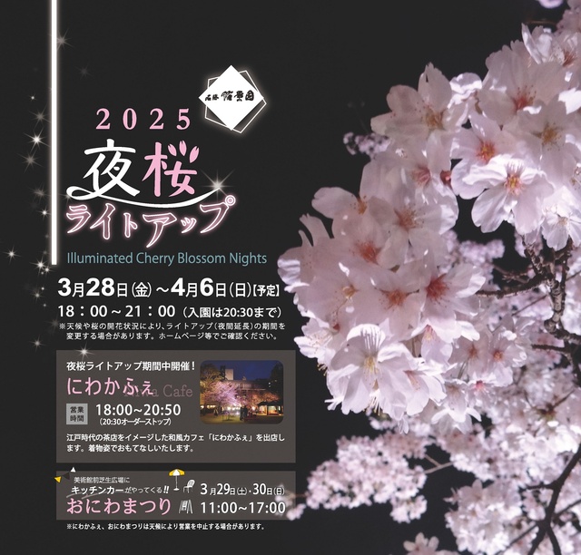 縮景園　夜桜ライトアップ