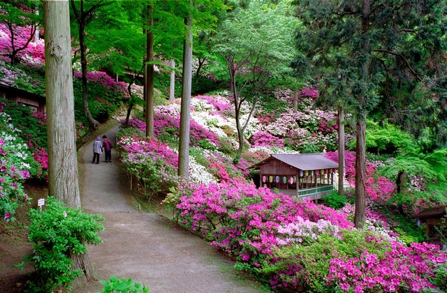 DaiKōzen-ji Azalea Festival
