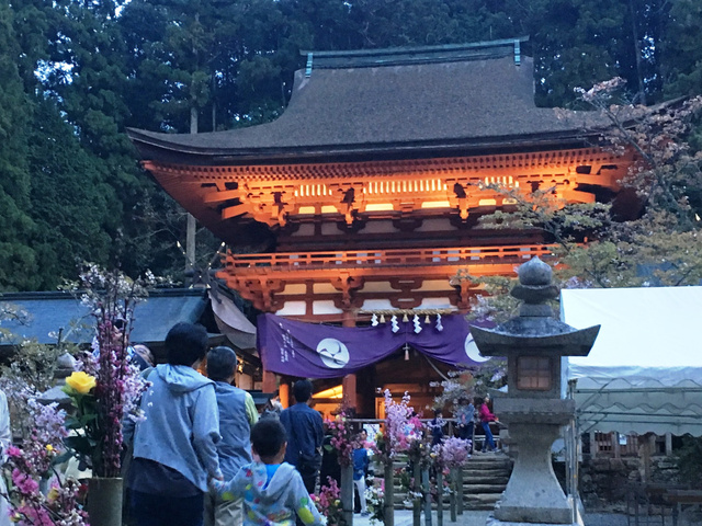丹生都比売神社 観桜の夕べ（春の境内ライトアップ）